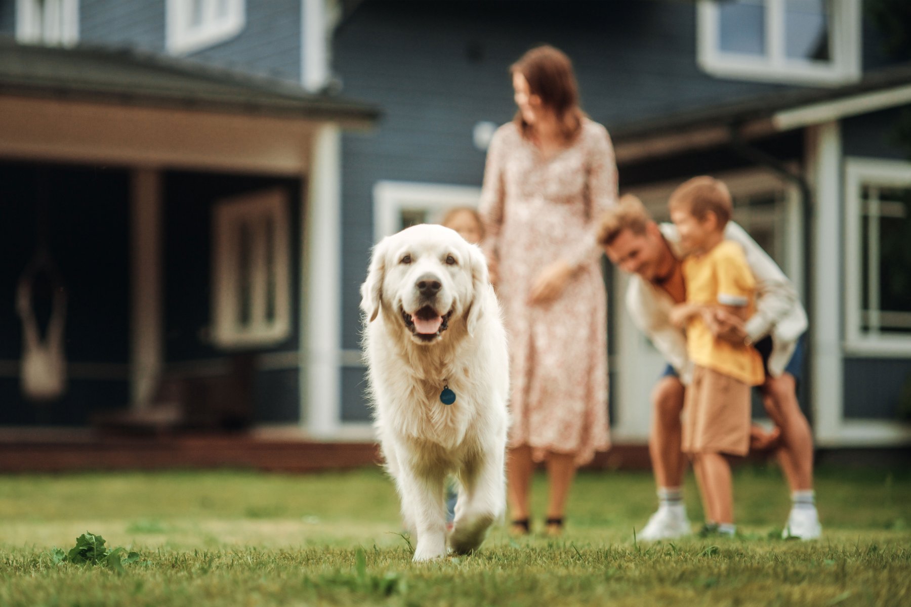 Solar-Maulwurf-Vertreiber SuperCat – Entwickelt für ruhiges, komfortables Alltagsleben. Lifestyle-Bild zeigt einen weißen Hund, der über einen Rasen vor einem Haus läuft, während eine Familie im Hintergrund miteinander interagiert.